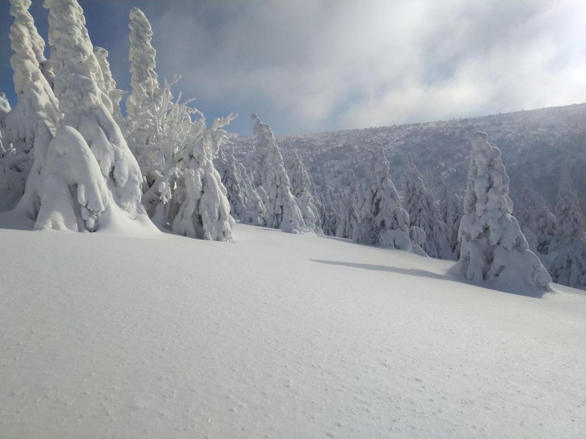 Czech Lodge Stara Ves ภายนอก รูปภาพ